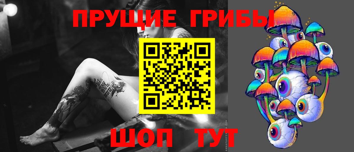 где продают наркотики  Псилоцибиновые грибы Cubensis  Вход с VPN  Лыткарино 